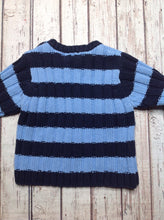 The Place Baby Blue & Blue Sweater