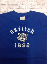 Abercrombie & Fitch Blue Print Top