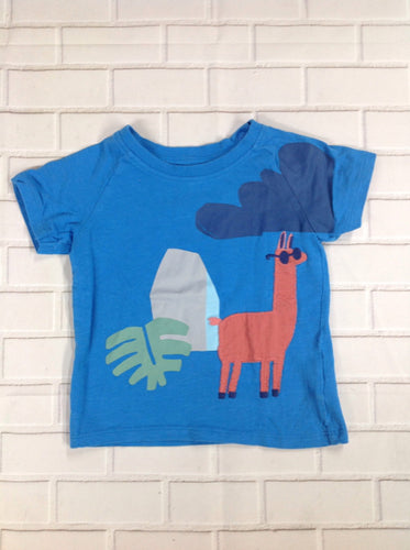 Blue Print Top