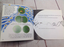 Book