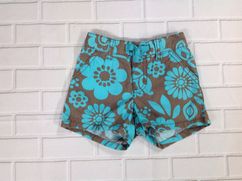 Carters Teal & Brown Shorts
