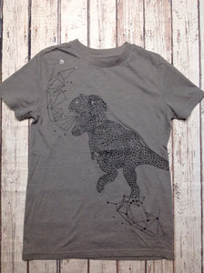 Cat & Jack Gray & Black Dinosaur Top