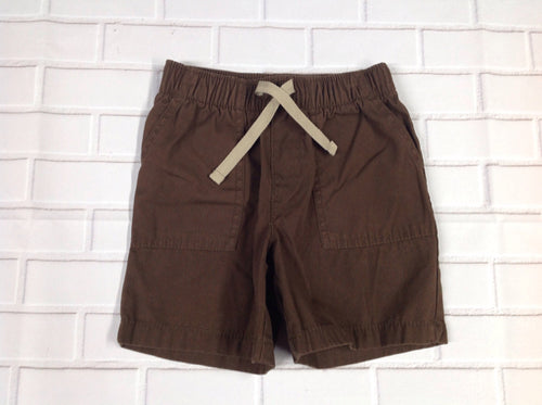 Circo Brown & Tan Solid Shorts
