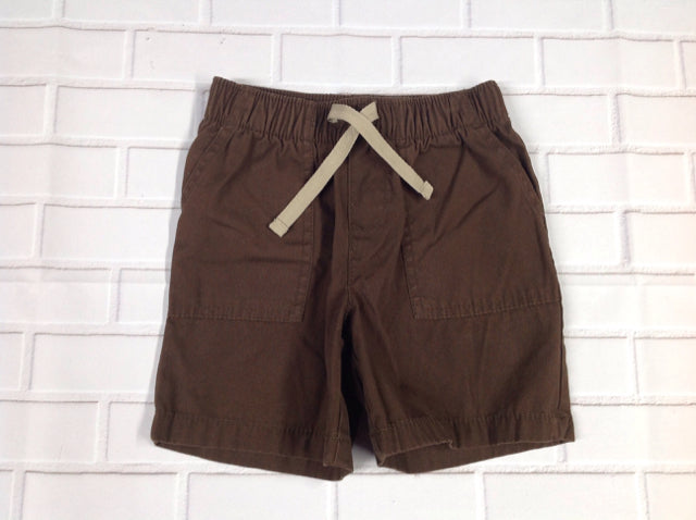 Circo Brown & Tan Solid Shorts