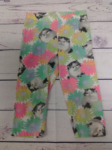 Circo Green & Pink Pants