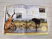 DK Book