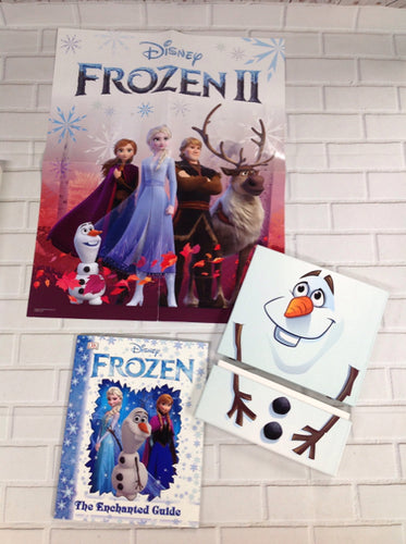 DK FROZEN Book