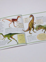 Dalmation Kids Dinosaur Book