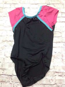 Danskin Blue & Pink Dance Wear