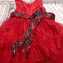 Disney Barn Red Dress