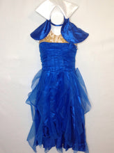 Disney Blue & Gold Costume