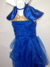 Disney Blue & Gold Costume