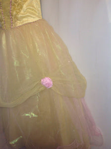 Disney YELLOW & PINK Costume