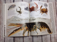 EYEWITNESS Book