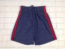 Garanimals Blue & Red Stripe Shorts