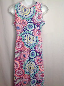 Gymboree Blue & Pink Dress