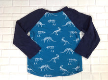 Gymboree Blue Print Dinosaur Top