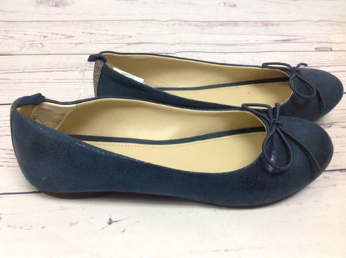 Gymboree Blue Shoes