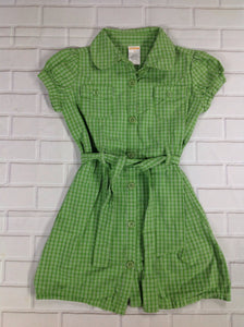 Gymboree Green & White Dress