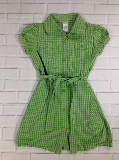 Gymboree Green & White Dress