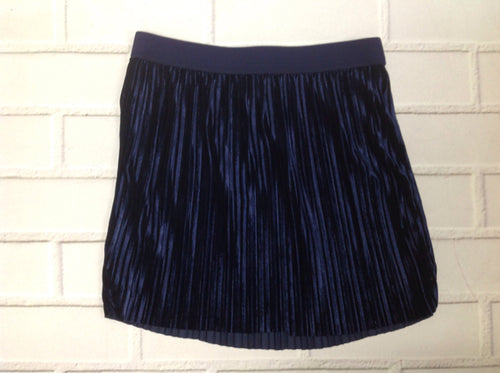 Gymboree Navy Skirt