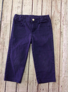 Gymboree Purple Pants