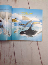 Know It Alls Book