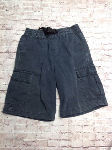 LL Bean Gray Solid Shorts