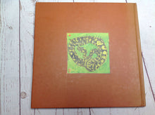 Lizard Frogs And Polliwogs Book