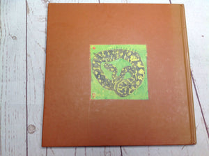 Lizard Frogs And Polliwogs Book
