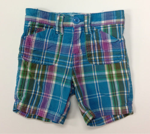 PLACE AQUA & BERRY Shorts