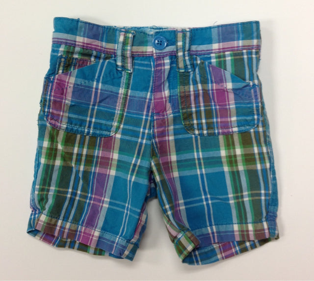 PLACE AQUA & BERRY Shorts