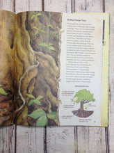 Roaring Brook Press Book