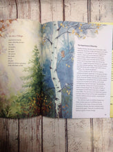 Roaring Brook Press Book