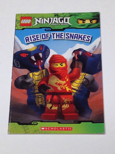 Scholastic Lego Book