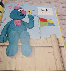 Sesame Street Book