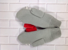 Sharks Mittens