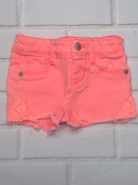 Sonoma Coral Shorts