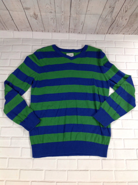 The Place Blue & Green Stripe Sweater