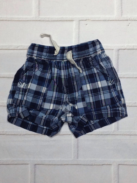 The Place Blue & White Shorts