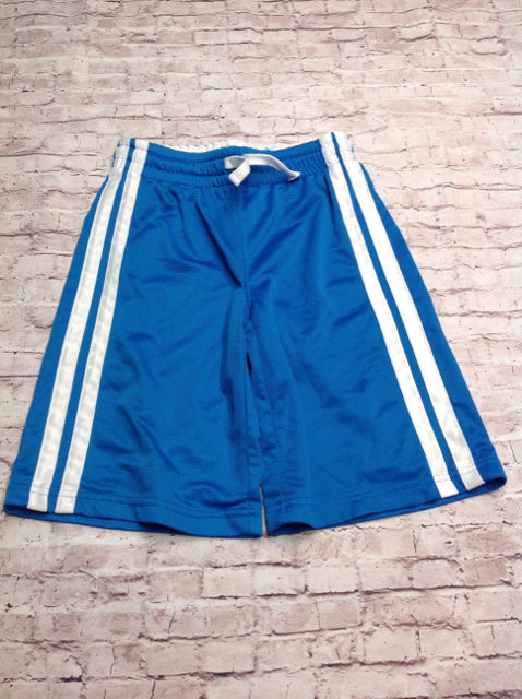 The Place Blue & White Stripe Shorts
