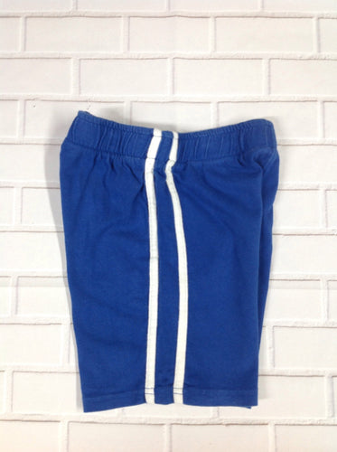 The Place Blue Shorts