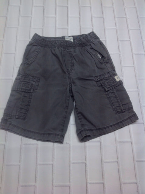 The Place Gray Shorts