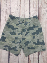 The Place Green & Beige Shorts