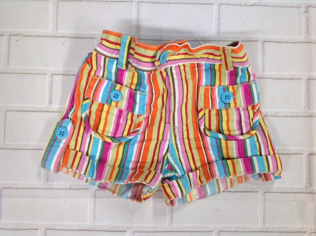 The Place Multi-Color Shorts