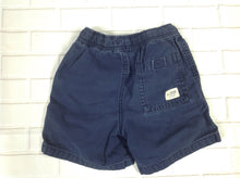 The Place Navy Shorts